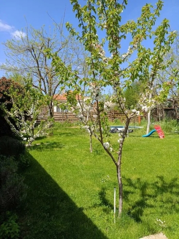 Бургас, с. Веселие, Продава 